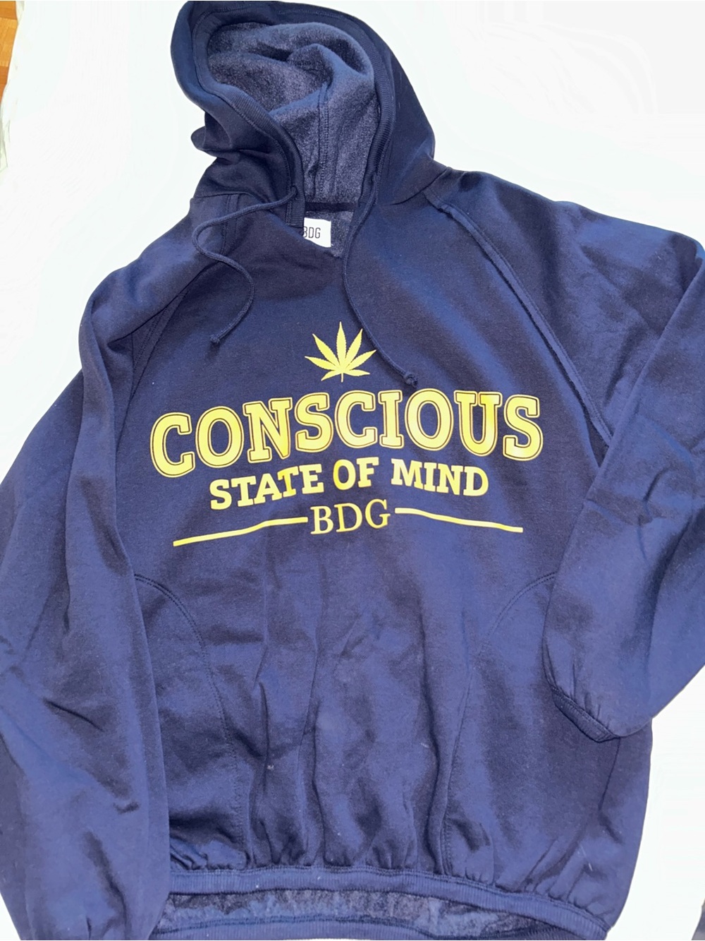 BDG Navy Pullover Hoodie with Logo Tag